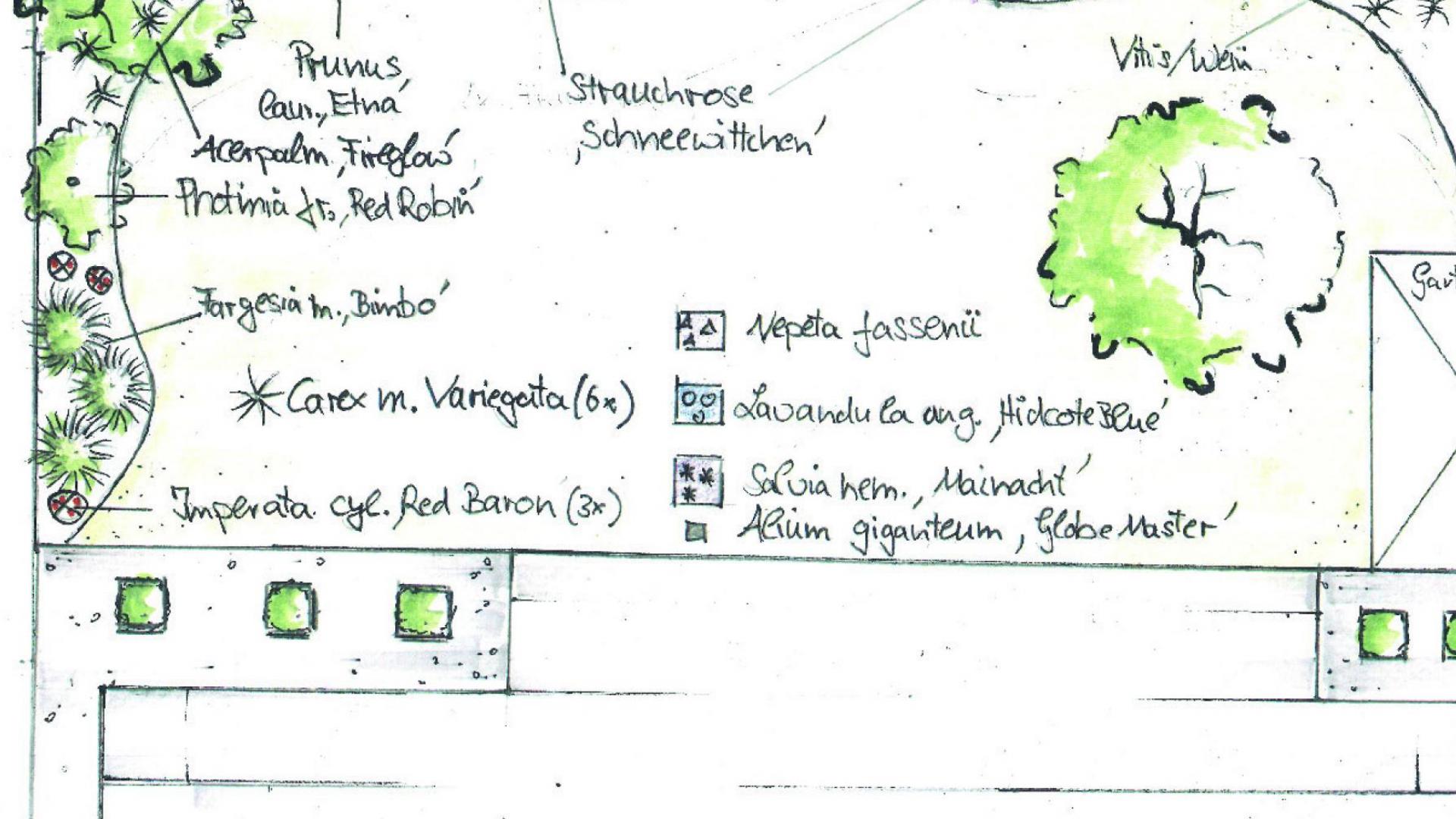 Creusen Garten - Gartenplanung